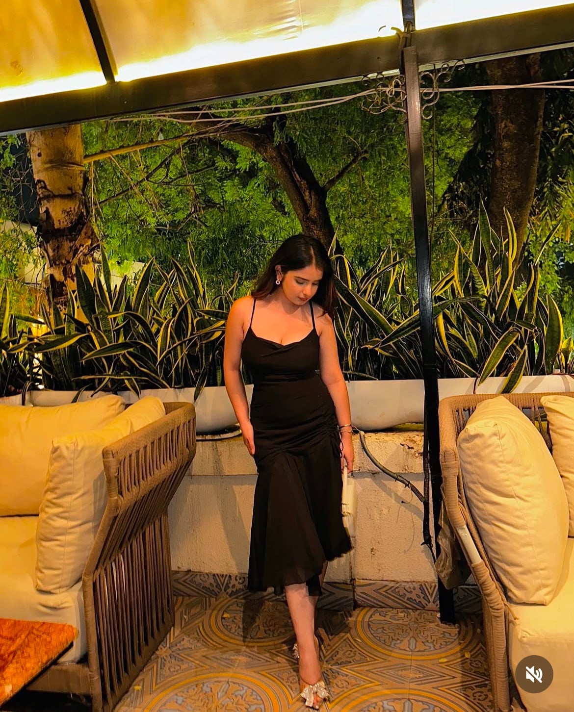 Evening Elegance